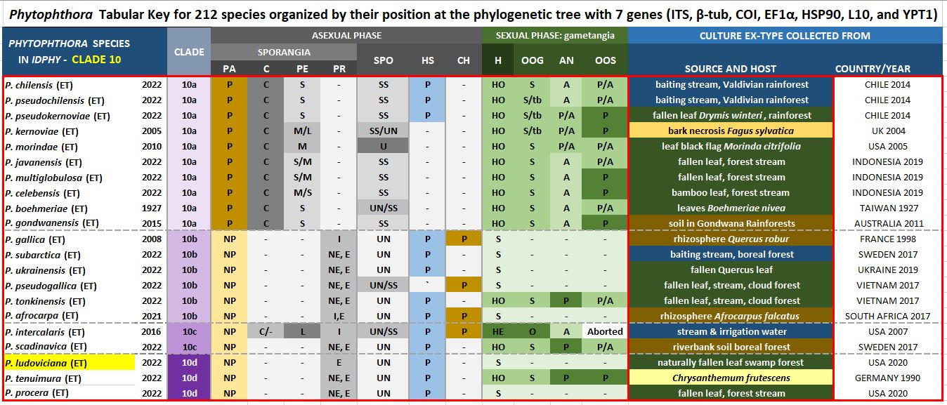    Phytophthora  spp. in subclade 10d:  Morphological Tabular key (PDF) and Tabular key legends (PDF) in IDphy2 KEY SECTION. Notice the data of   P. ludoviciana  Ex-type CBS 149205 . Gloria Abad, USDA Samp;T.
